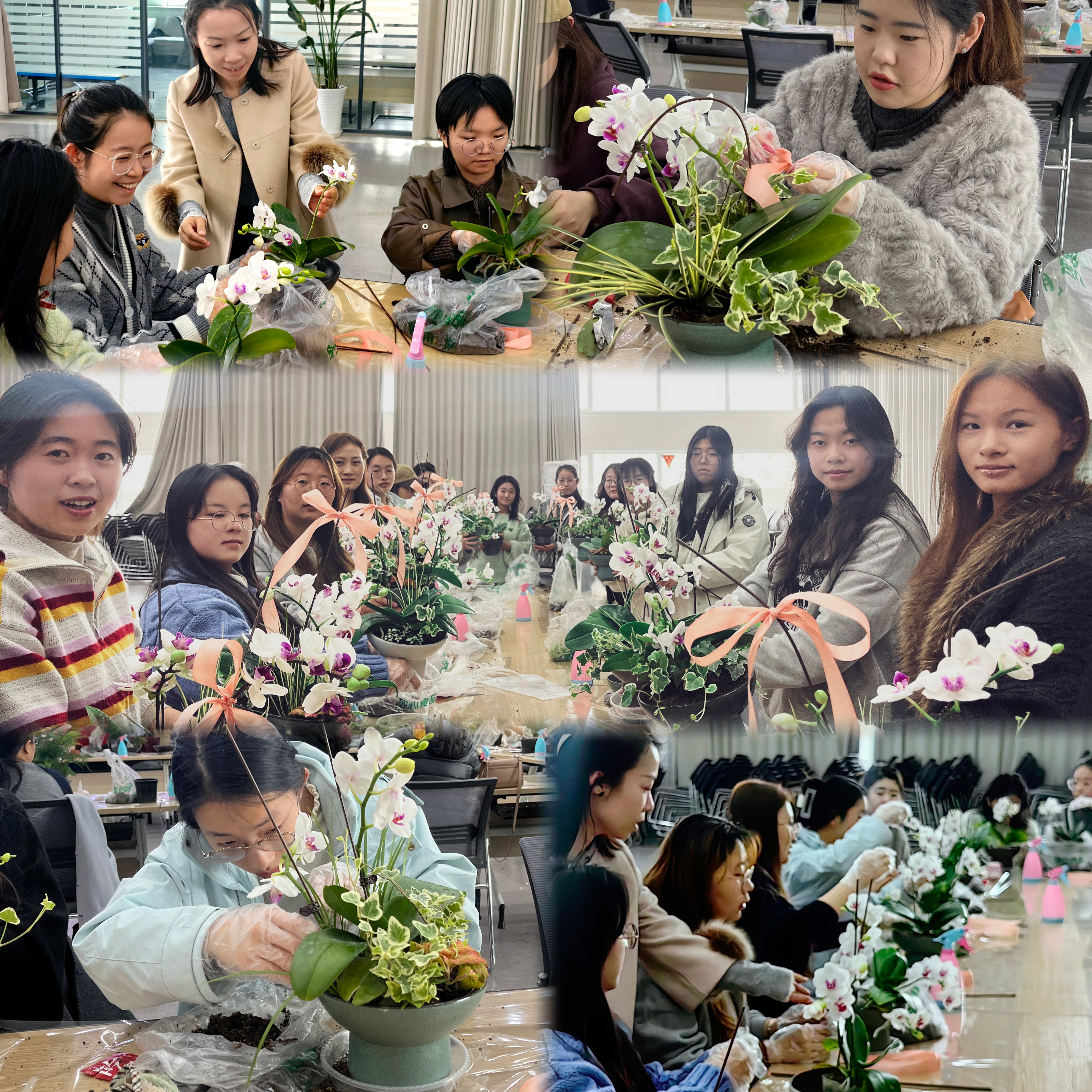 花影沁心，对话自我——学校举办花艺心理工作坊